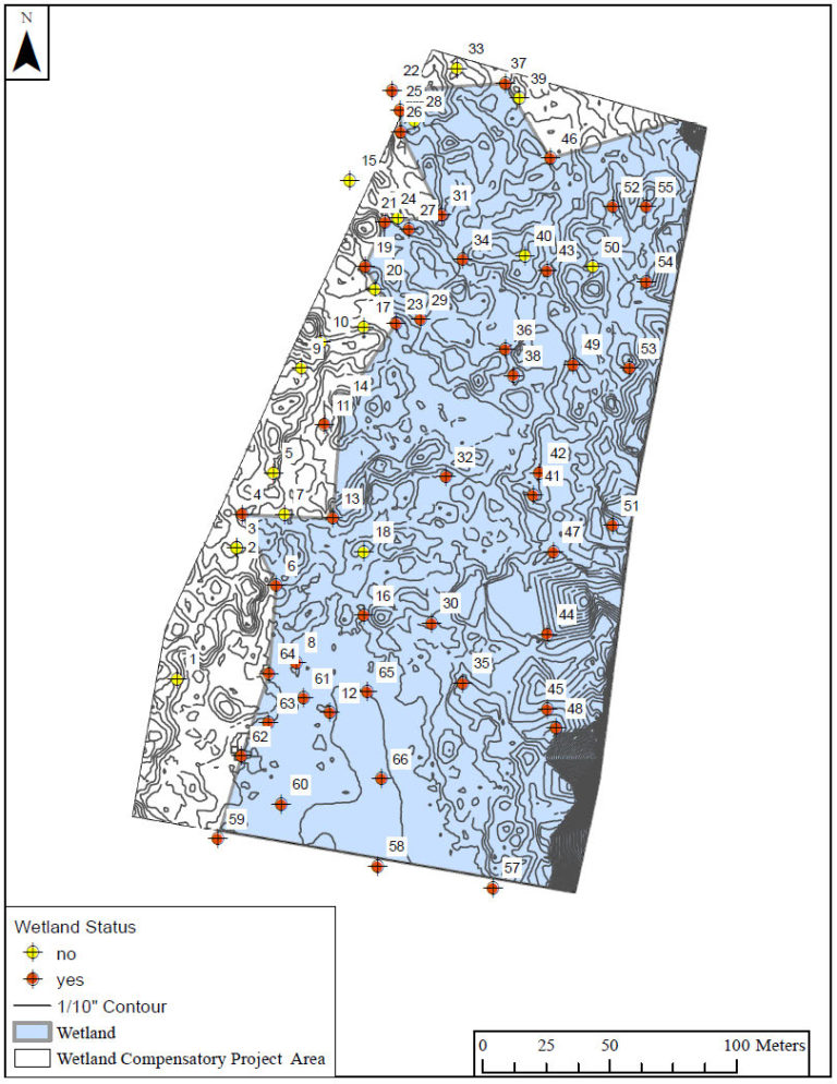 Wetland Indicators Map by Jerry Dinzes