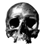 skull-contrast-01