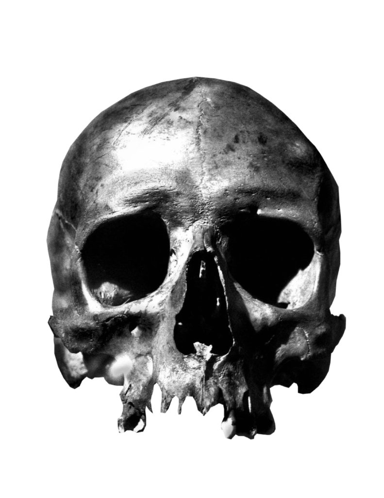 skull-contrast-01