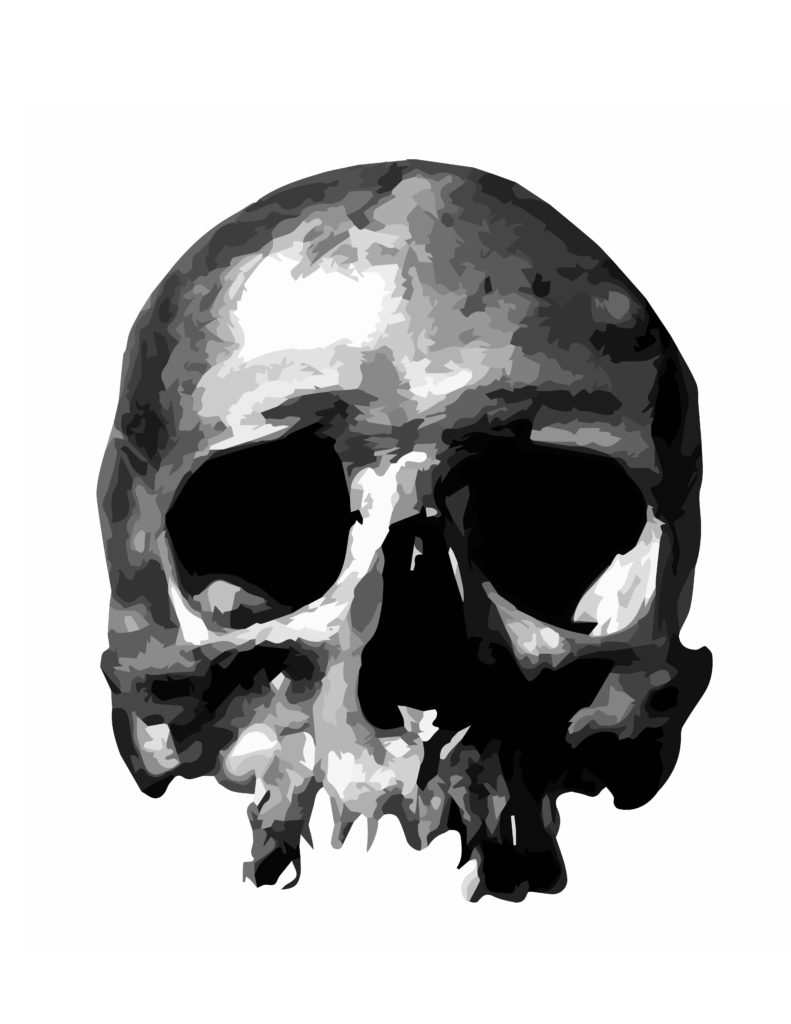 skull-contrast-2-01