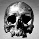 skull-original