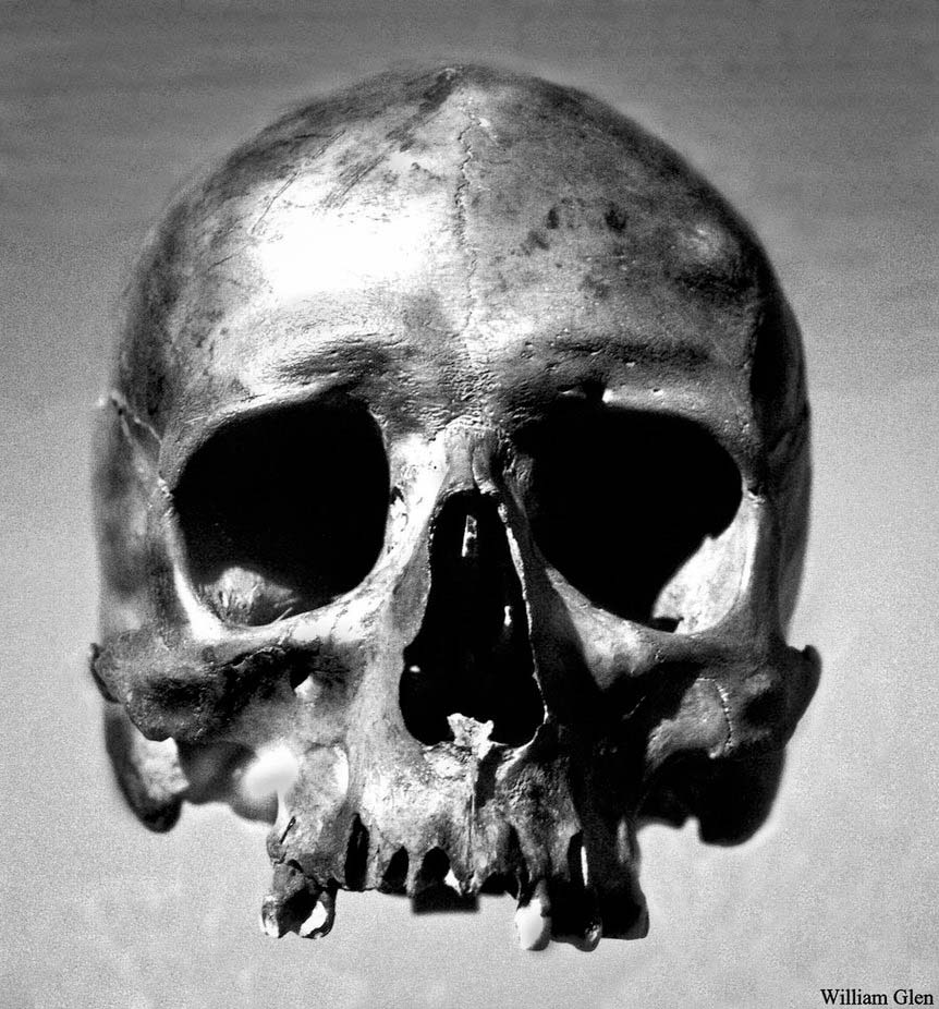 skull-original